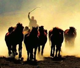 快馬加鞭 快馬加鞭