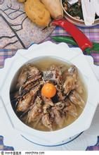 靈雀啄冬蟲 靈雀啄冬蟲