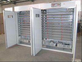 鴿子孵化機 鴿子孵化機