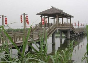 楊墩休閒農莊 楊墩休閒農莊