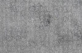 楊朵兒只 楊朵兒只