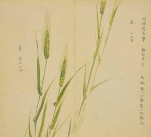 周頌·思文 周頌·思文