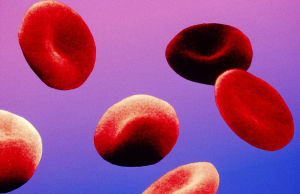 紅細胞偏低 紅細胞偏低