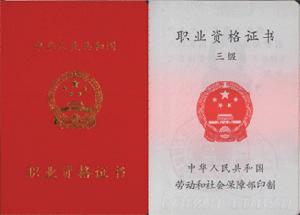 助理電子商務師國家職業資格認證(三級)