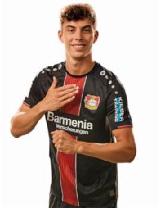 凱·哈弗茨 凱·哈弗茨