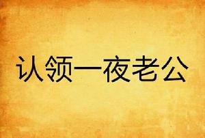 認領一夜老公 認領一夜老公