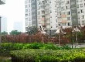 文思新村 文思新村