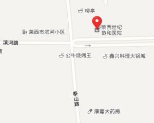 萊西協和醫院地址