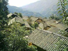 突吐白村 突吐白村