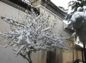 荊紫關府台衙門