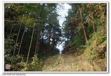 天堂[浙江省景寧（畲族自治）縣村名]