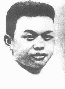 陳照華[革命人士]