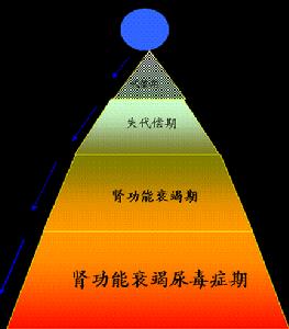尿毒症四個時期