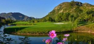 一渡高爾夫 一渡高爾夫