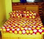 新疆白樺林國際青年旅舍 新疆白樺林國際青年旅舍