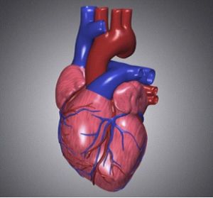 心臟衰退 心臟衰退