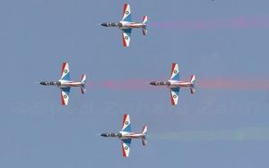 巴基斯坦空軍雄獅飛行表演隊