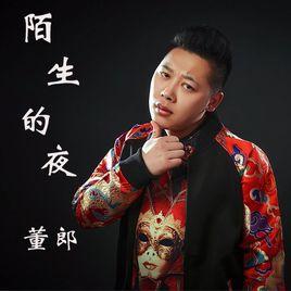陌生的夜[董郎演唱歌曲陌生的夜]