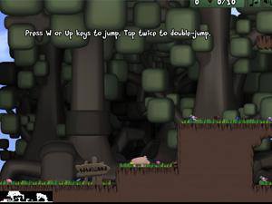 小豬叢林覓食 小豬叢林覓食