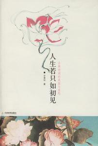 《人生若只如初見》小說
