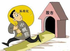 中概股私有化現象 中概股私有化現象