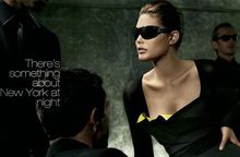 唐納卡蘭圖片欣賞