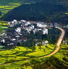 九江市海外國際旅行社