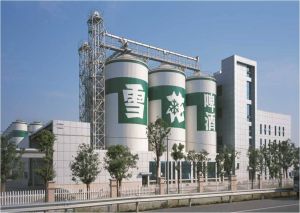 雪花啤酒 雪花啤酒