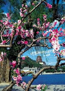 《菩薩蠻·元夕立春》 《菩薩蠻·元夕立春》