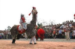 東壩大馬燈 東壩大馬燈
