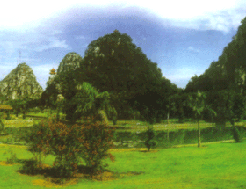 嶺南名剎南山寺 嶺南名剎南山寺