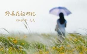 野薑花的回憶 野薑花的回憶