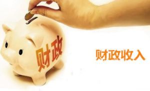 功能財政 功能財政