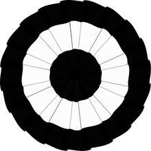 美國聯邦黨 美國聯邦黨