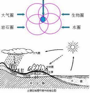 土壤形態 土壤形態