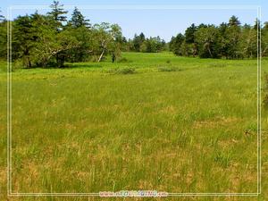 （圖）五常市山河鎮