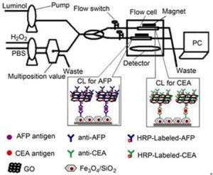 甲胎蛋白和癌胚抗原