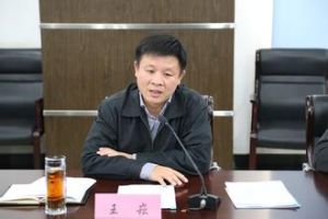 王崧[安徽省淮南市委副書記]