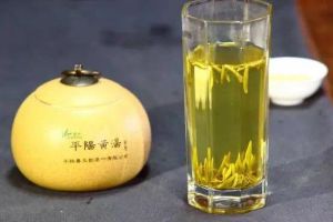 平陽黃湯 平陽黃湯