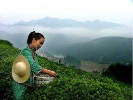 東白湖鎮 東白湖鎮
