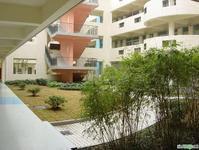 協和雙語尚音學校 協和雙語尚音學校