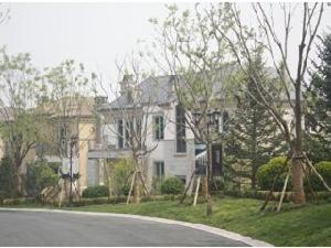 白金國際公寓(南峰御鹿華庭三期)實景圖