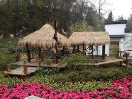 普底彝族苗族白族鄉