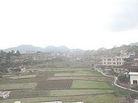 三合村[福建泉州洛江區羅溪鎮下轄村]