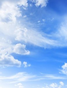 白雲社區網 白雲社區網