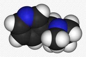 尼古丁結構圖