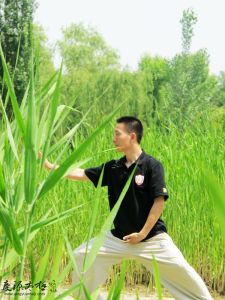 陳式太極拳新架二路 陳式太極拳新架二路