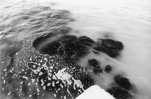 富水區域遭遇缺水尷尬