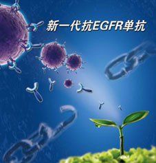 生物飛彈 生物飛彈