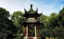 榆林村[浙江省紹興縣孫端鎮榆林村]